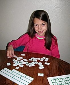 Fraction Chart pieces